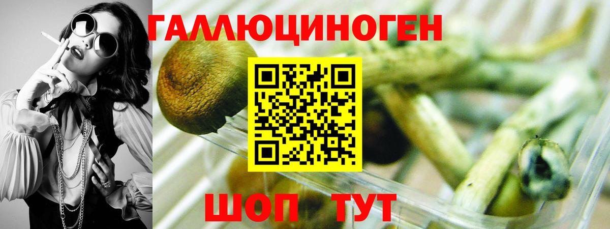 Псилоцибиновые грибы мицелий Белгород