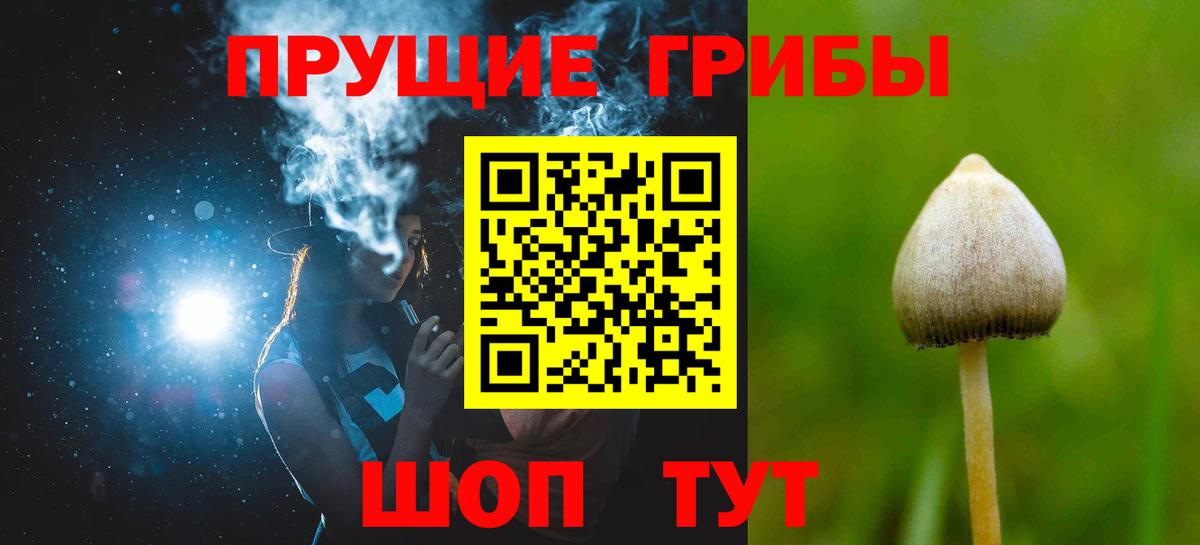 Галлюциногенные грибы Cubensis  Вход с VPN  Галлюциногенные грибы мухоморы  Белгород 
