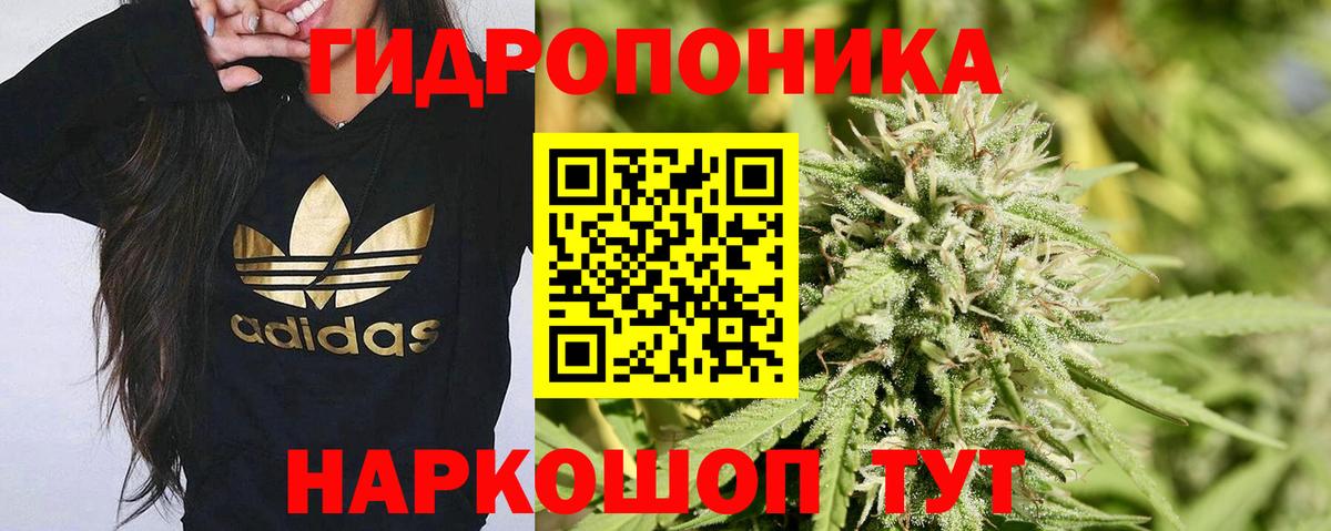МАРИХУАНА конопля Белгород
