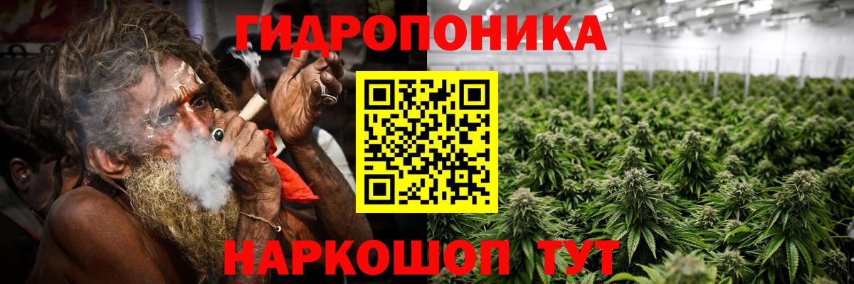 Конопля Amnesia  Вход с VPN  Бошки марихуана Bruce Banner  Белгород  Бошки марихуана MAZAR  Шишки марихуана индика 